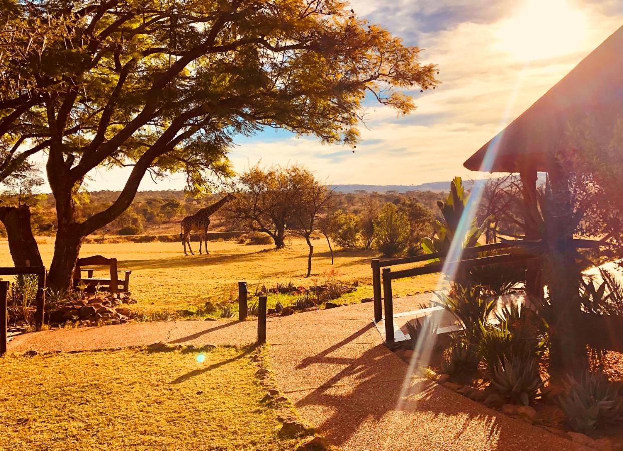 Kololo Game Reserve Vaalwater Kültér fotó