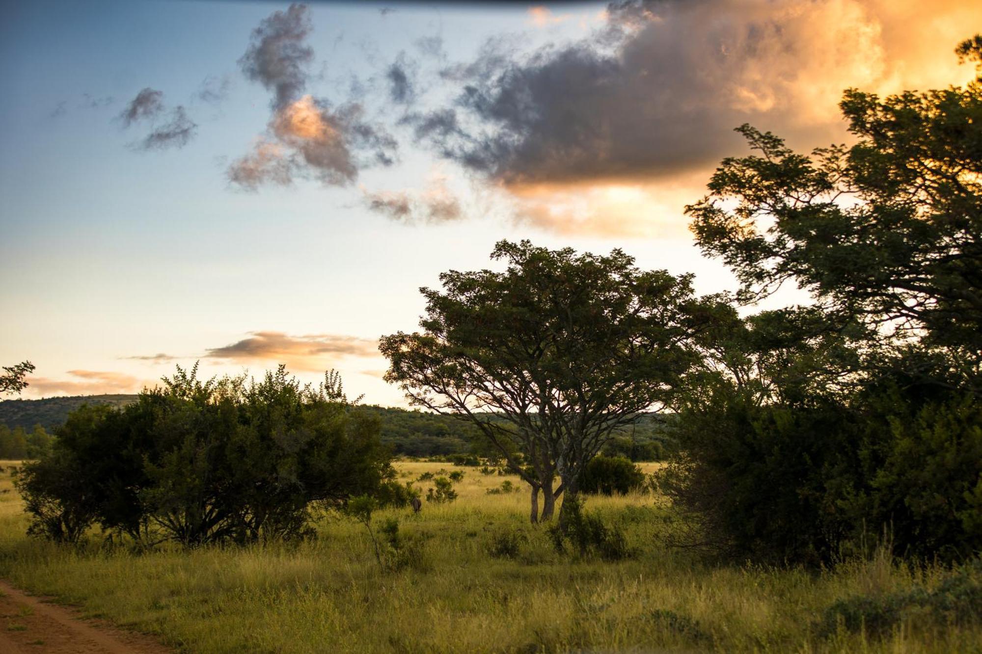 Kololo Game Reserve Vaalwater Kültér fotó