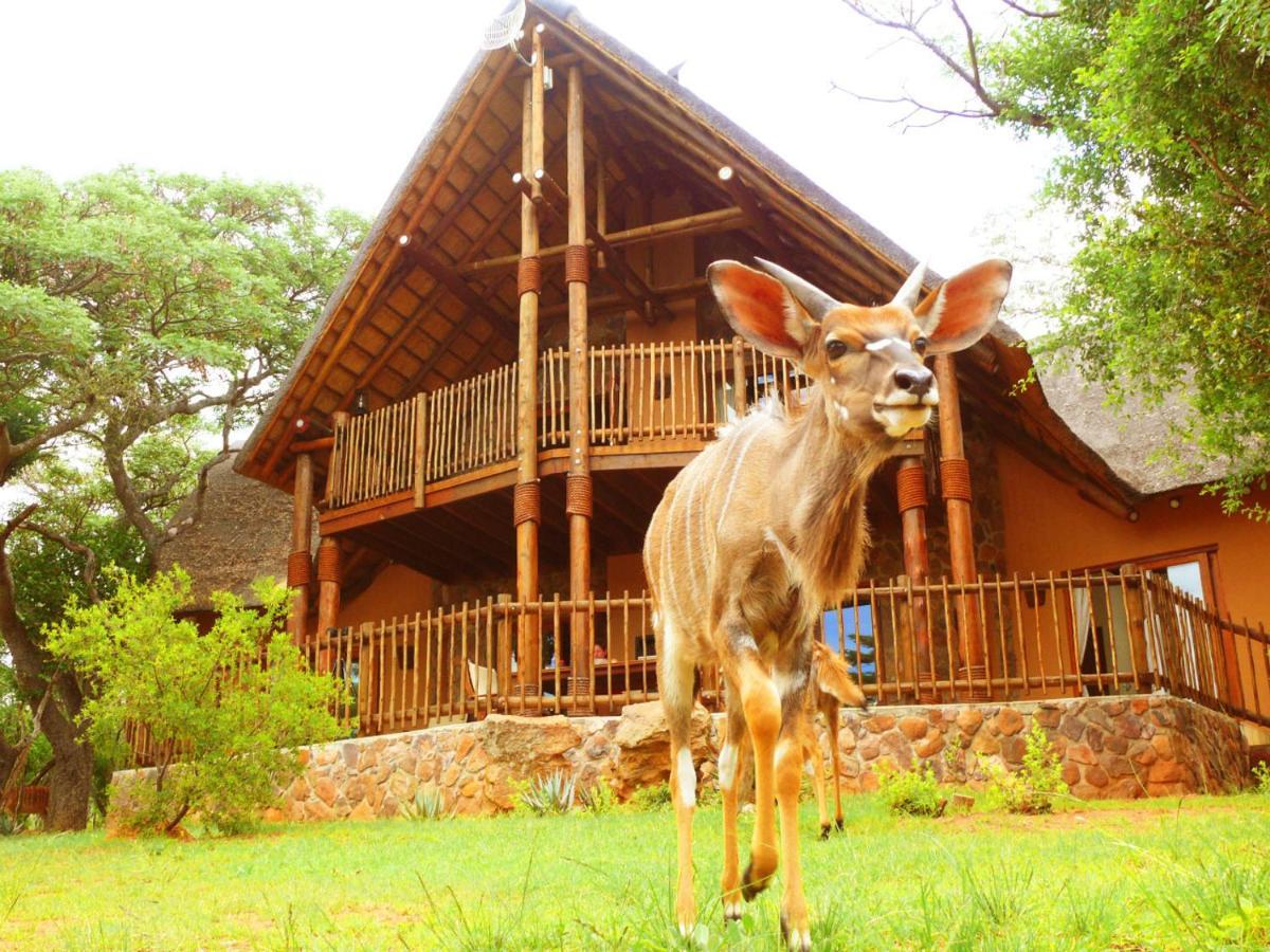Kololo Game Reserve Vaalwater Kültér fotó